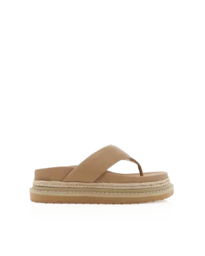 AMAYA - CLAY